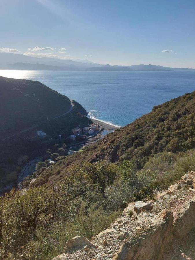 Cap Corse - Grande Maison Au Bord De Mer - Pmr Grillasca Екстер'єр фото